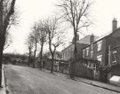 Burnside Avenue looking towards Norton Lee allotments