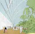 Architects drawing of the Winter Garden for Heart of the City 1, viewed from the Tudor Square entrance Architects drawing of the Winter Garden for Heart of the City 1, viewed from the Tudor Square entrance