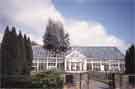 Tree growing through greenhouse, Weston Park