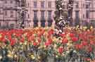 Flower beds in the Peace Gardens looking towards the Town Hall