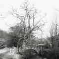 Pack Horse Bridge, [Rivelin Valley Road], Rivelin